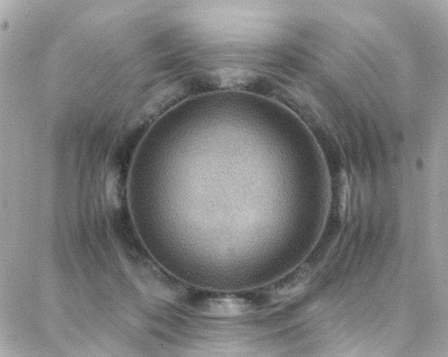 X0000088370316200705221103