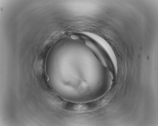 X0000088370319200705221103