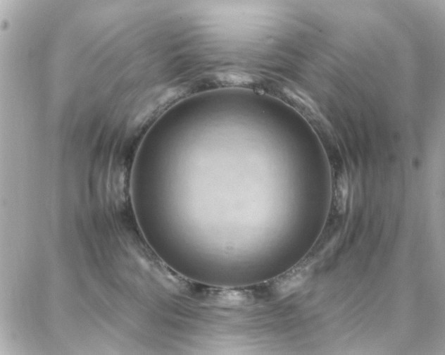 X0000088370330200705221102