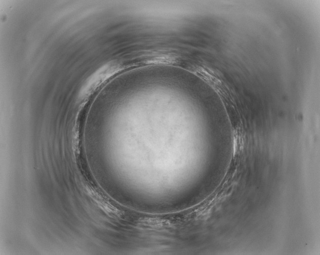 X0000088370339200705221102