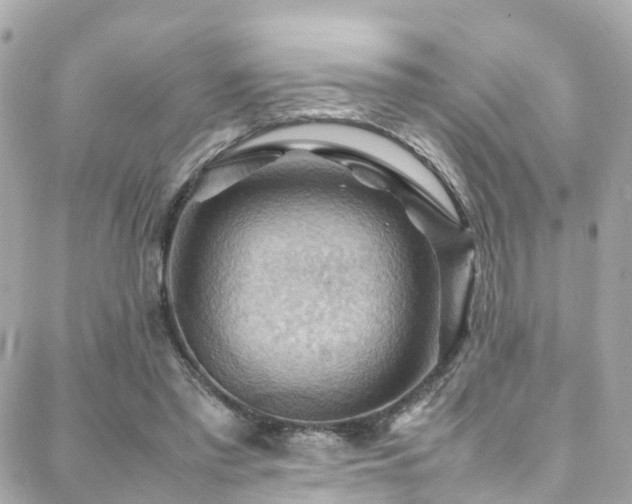 X0000088370397200705221101