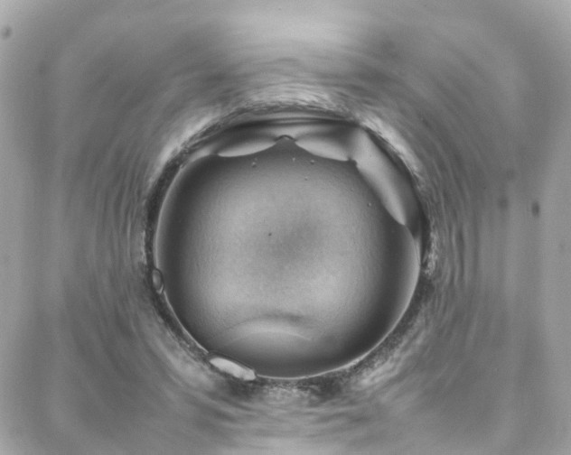 X0000088370399200705221101