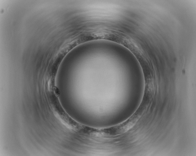 X0000088370408200705221101