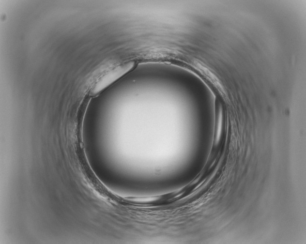 X0000088370485200705221100