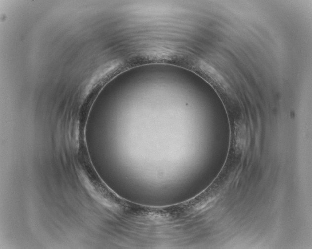 X0000088370494200705221100