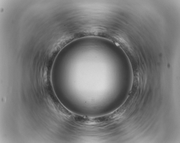 X0000088370504200705221100