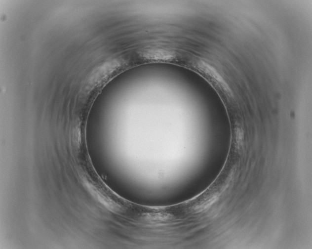 X0000088370541200705221059