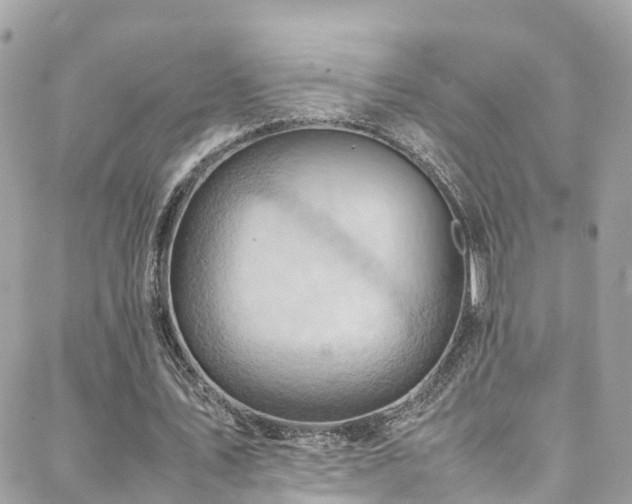 X0000088370579200705221058