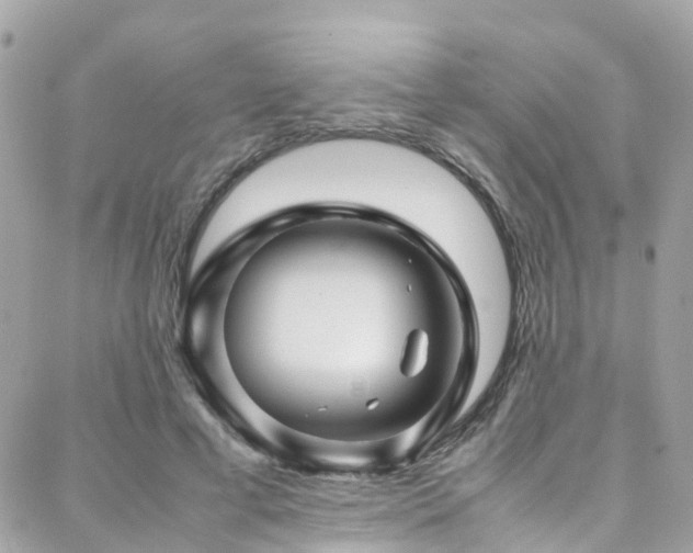 X0000088370593200705221058