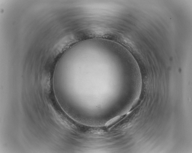 X0000088370642200705221057