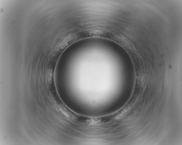 X0000088370660200705221057