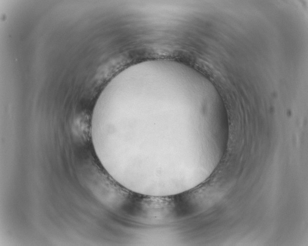X0000088370672200705221058