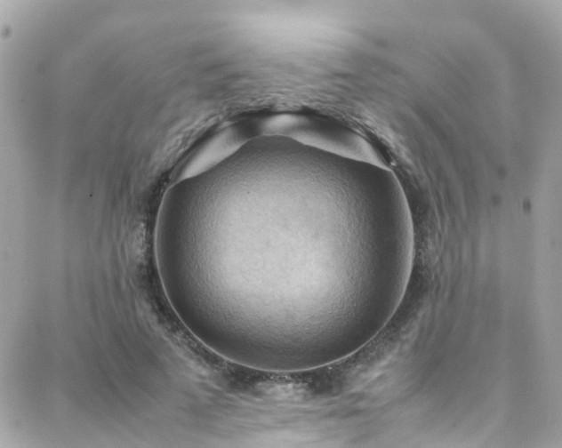X0000088370689200705221057