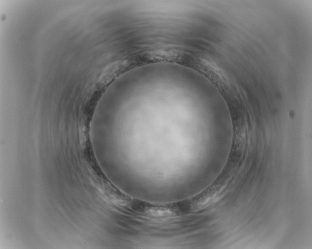 X0000088370749200705221056