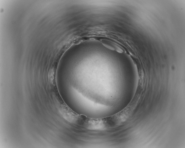 X0000088370767200705221056