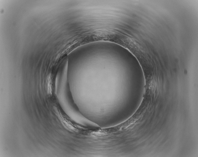 X0000088370868200705221054