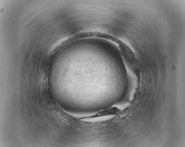 X0000088370872200705221054