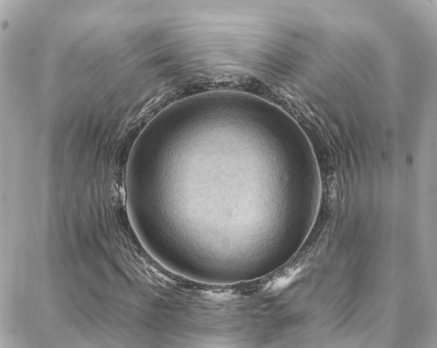 X0000088370916200705221052