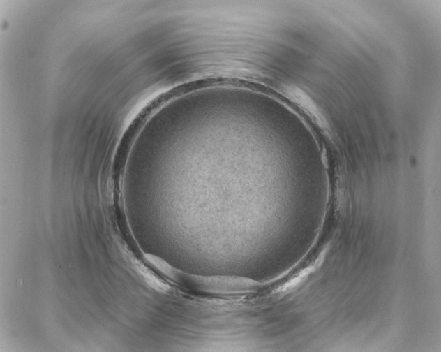 X0000088370924200705221052