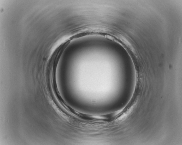 X0000088370981200705221052