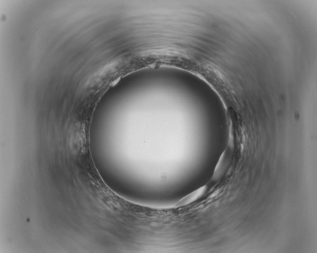 X0000088371062200705221050