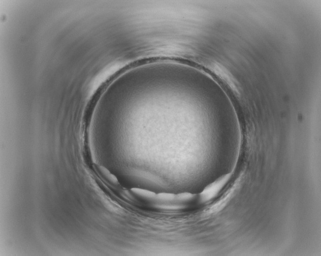 X0000088371077200705221050