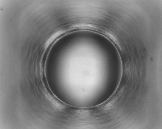 X0000088371082200705221050
