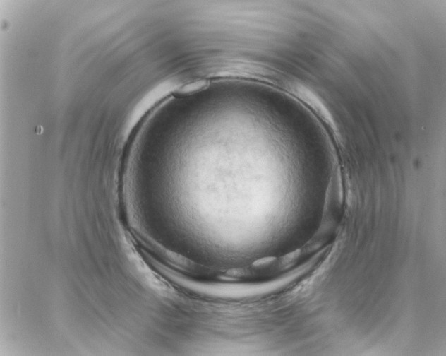 X0000088371138200705221049