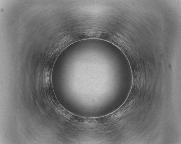 X0000088371154200705221049