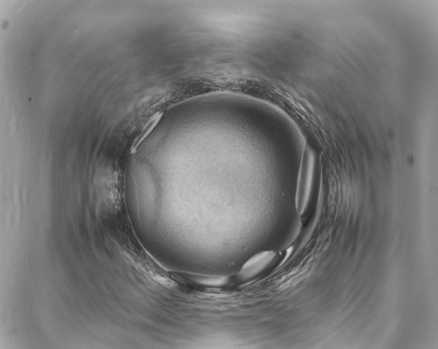 X0000088371156200705221049