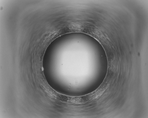 X0000088371201200705221047