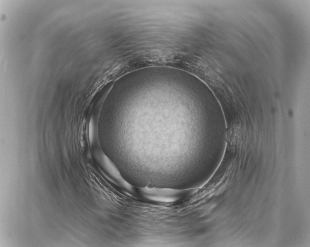 X0000088371202200705221047