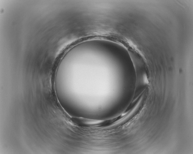 X0000088371214200705221048
