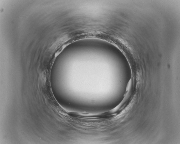 X0000088371257200705221047