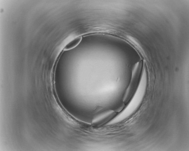 X0000088371291200705221047
