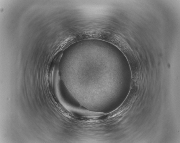 X0000088371298200705221046