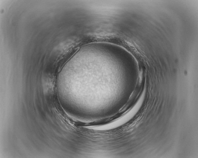 X0000088371300200705221046