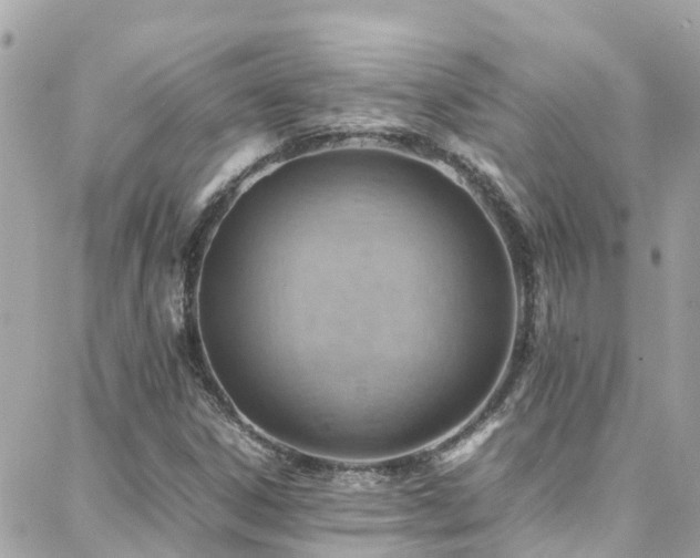 X0000088371306200705221046