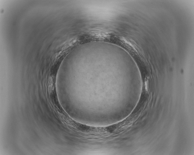 X0000088371347200705221046