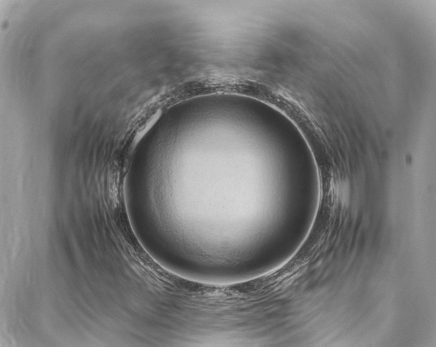 X0000088371348200705221046