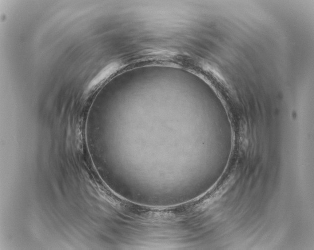 X0000088371354200705221046