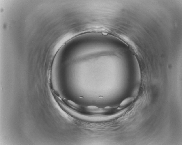 X0000088371383200705221045