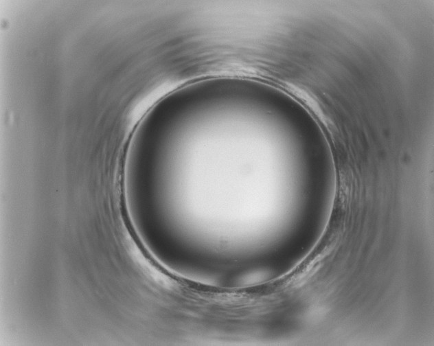 X0000088371387200705221045