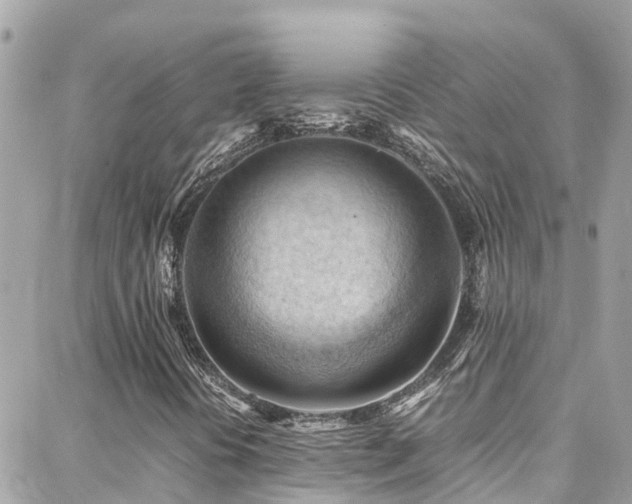 X0000088371394200705221044