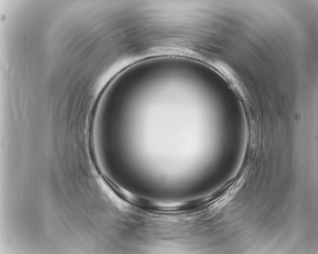 X0000088371438200705221045
