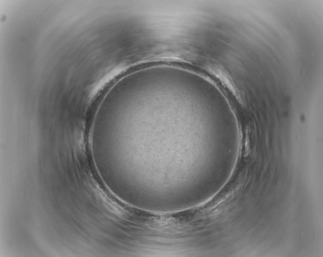 X0000088371452200705221044
