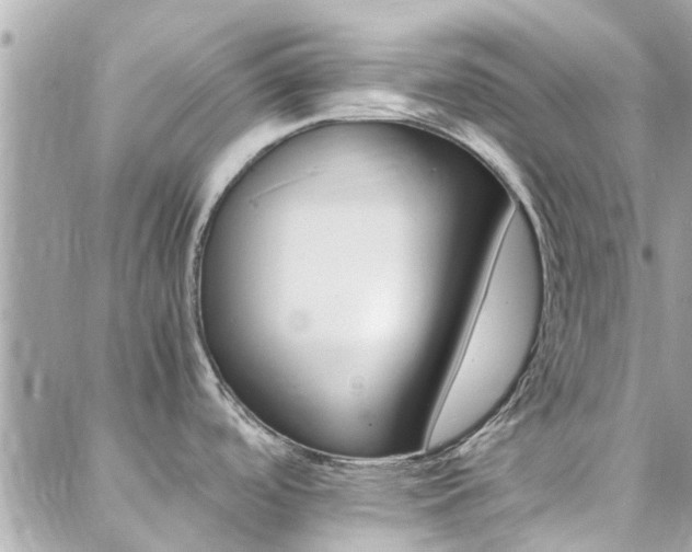 X0000088371488200705221043