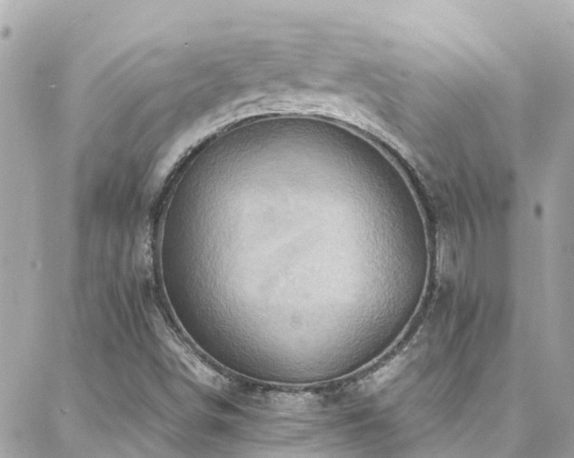 X0000088371498200705221043