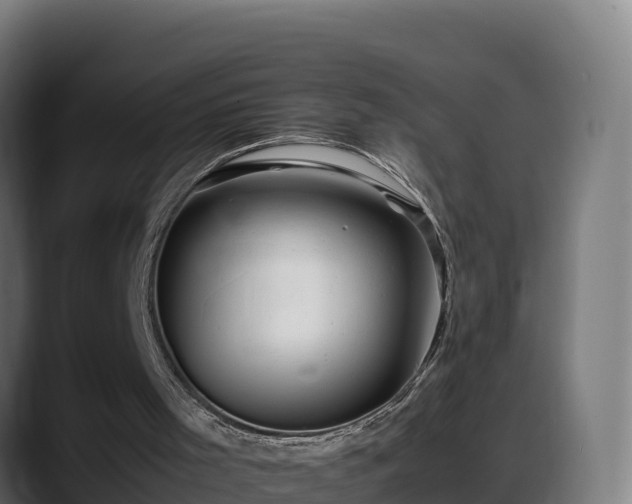 X0000088370001200705291337