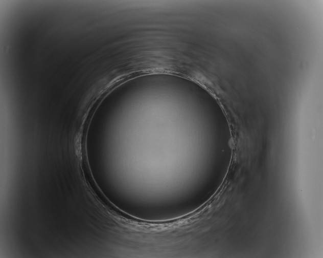 X0000088370002200705291337